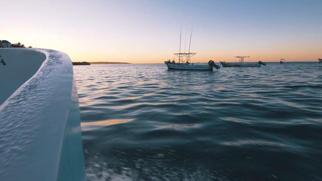 5 Reasons Lumix GH5 is the BEST in 2020 (Lumix GH5) смотреть онлайн