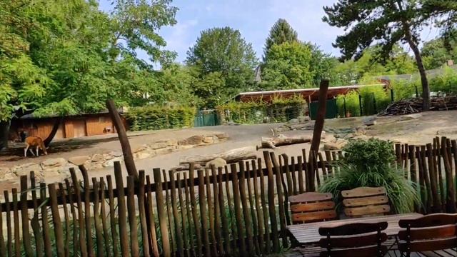 Kölner Zoo Der beste Zoo der Welt / Зоопарк в Кельне / смотреть онлайн