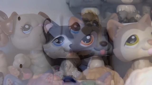 My Littlest Pet Shop Collection! (1,500+ LPS) смотреть онлайн