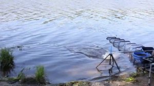 Английская донка с Алексеем Фадеевым. Ловля на фидер плотвы, подлещика и леща HD