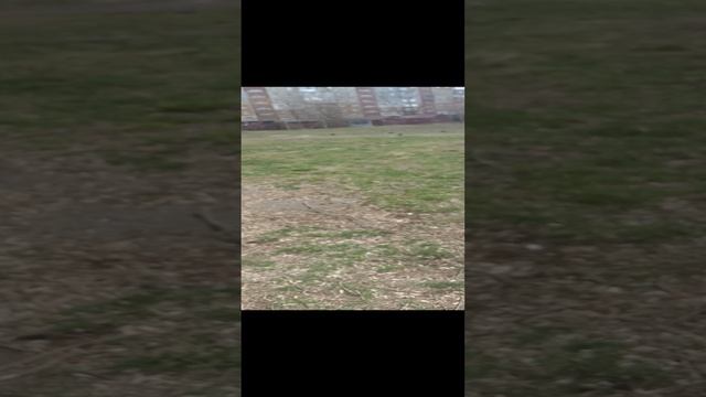 прогулка около,,,дома смотреть онлайн