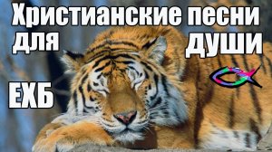Христианские Песни | ЕХБ