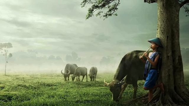 INDONESIAN FLUTE MUSIC смотреть онлайн
