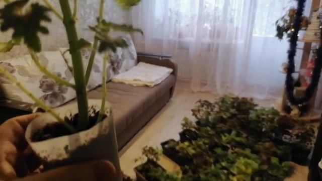 Что делать ??? Меня кажется выселяют с жилплощади) Они уже заняли площадь в 18 квадратных метров) смотреть онлайн