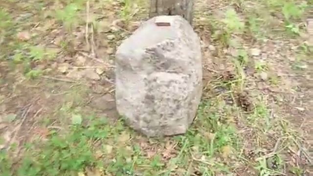 Копыто животного эпохи динозавров смотреть онлайн