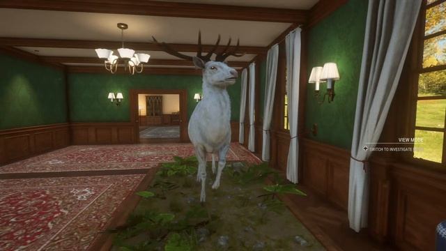 Hunter Call Of The Wild:The Albino Message смотреть онлайн