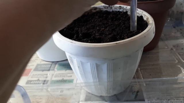 МОЖНО КУПИТЬ НО ЭТО НЕ ИНТЕРЕСНО смотреть онлайн