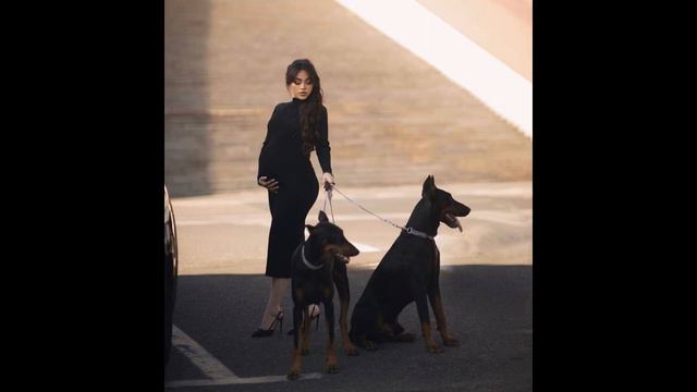 Կծիծաղեք երբ տեսենեք՝ հղի Մաշ Իսրաելյանն ինչ հոլովակ է հրապարակել смотреть онлайн