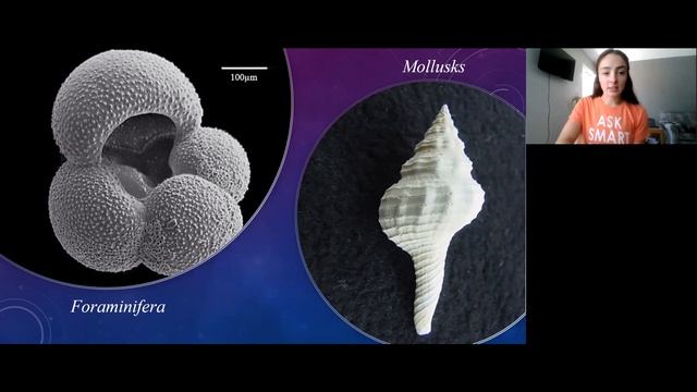 Stable Oxygen Isotopes & Paleoclimate Proxies | GEO GIRL смотреть онлайн