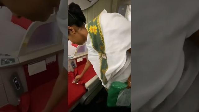 Бизнес-класс и эконом-класс Boeing 787-8 Dreamliner Ethiopian Airlines смотреть онлайн