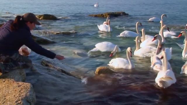 Актау-Каспий смотреть онлайн