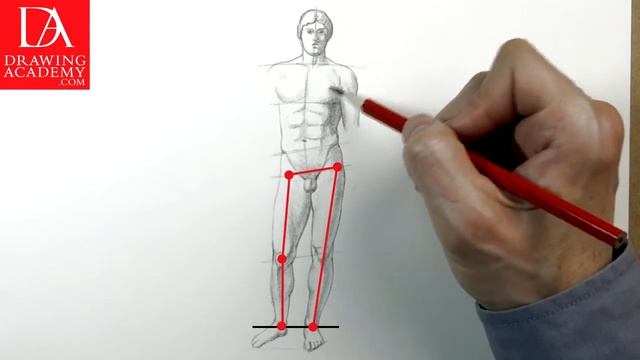 Proportion of the Human Body presented by Drawing Academy .com 33 смотреть онлайн