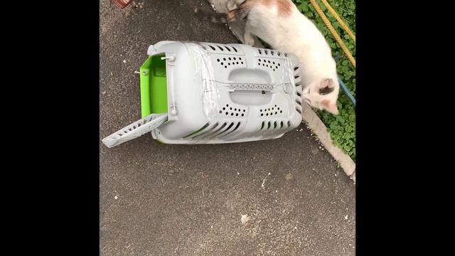 Как Сделать с Вдохновением