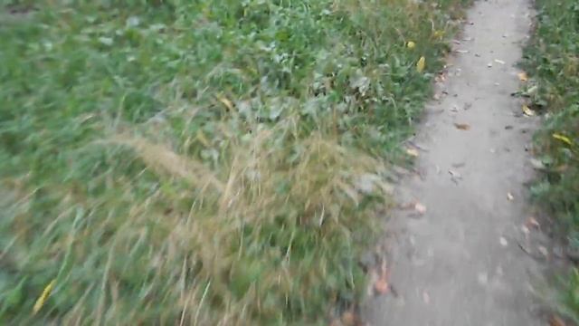 Белый трюфель в городе? Смотреть до конца!!! смотреть онлайн