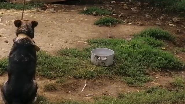 Николаев 13 сентября 2022г. утро смотреть онлайн