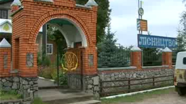 Берегите лес смотреть онлайн