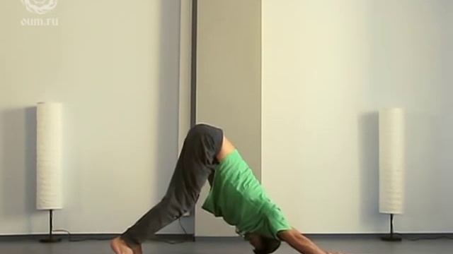 Сурья намаскар, физические аспекты практики. (фрагмент семинара по йоге) Студия йоги Ом, Волгоград смотреть онлайн