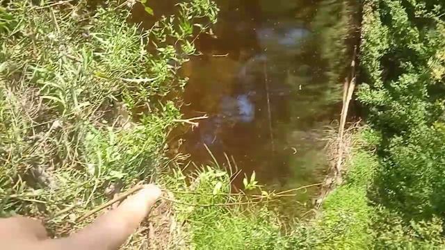 рыбалка и блог смотреть онлайн