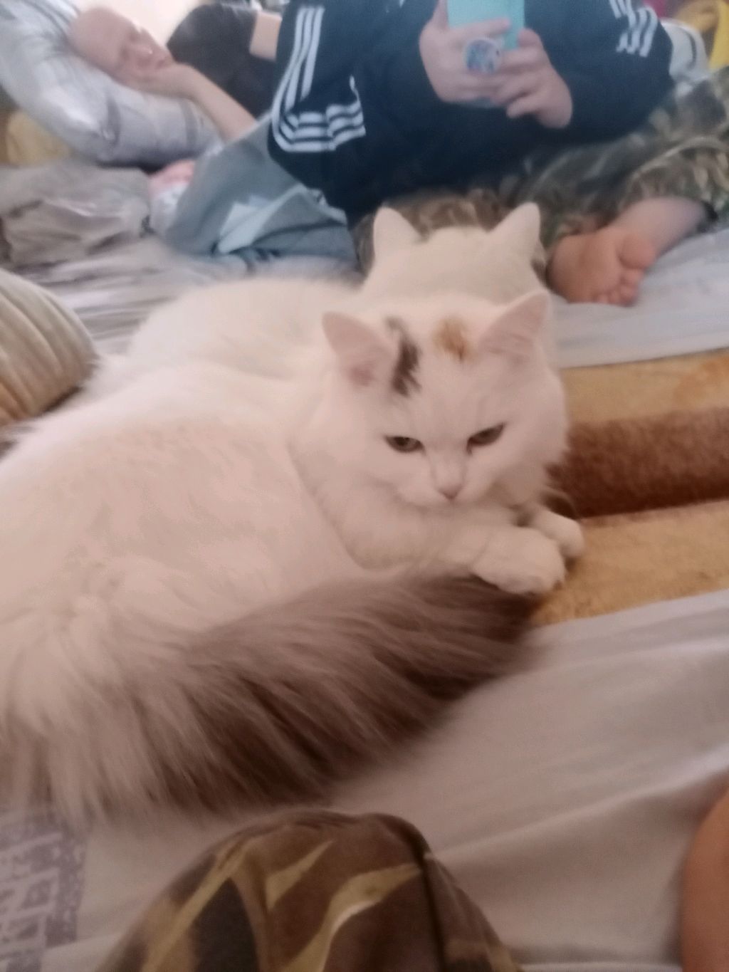 алмазный меч