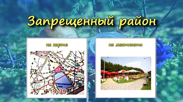 Профессиональные Тренировки для Тебя