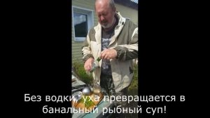 Рецепт ухи из Байкальского Омуля