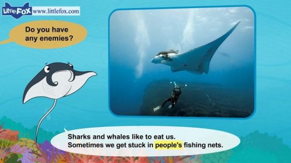 Meet the Animals 10 | Manta Ray | Wild Animals | Little Fox | Animated Stories for Kids