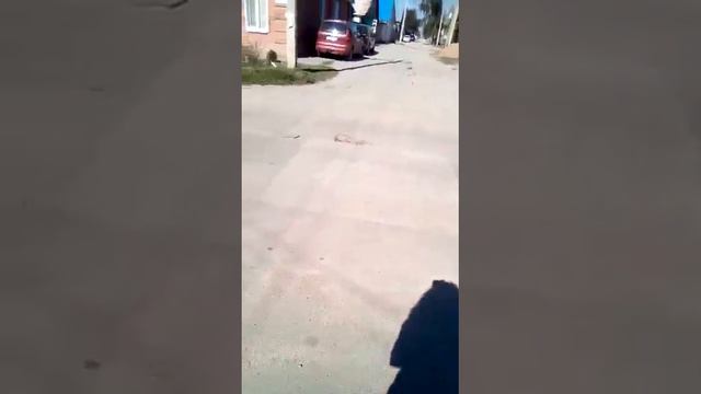 Дорога по ул. 6 линия г. Маркс смотреть онлайн