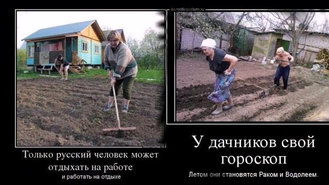АХ, дача моя дача люблю я отдохнуть смотреть онлайн