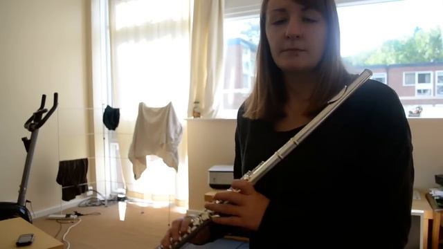 RHCP - Californication (Flute Cover) смотреть онлайн