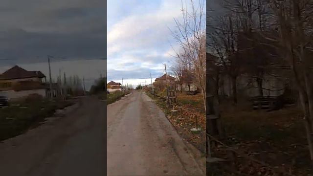 Рабочая 22 и замок Гарибальди смотреть онлайн