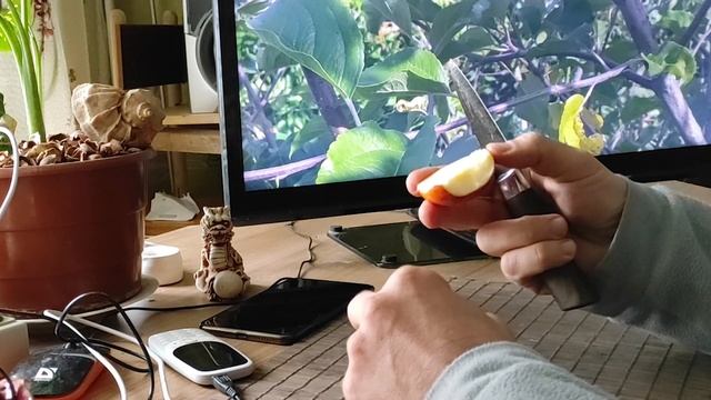 Сорт яблук "Топаз" $ "Фуджі Кіку 8". Огляд та дегустація. смотреть онлайн