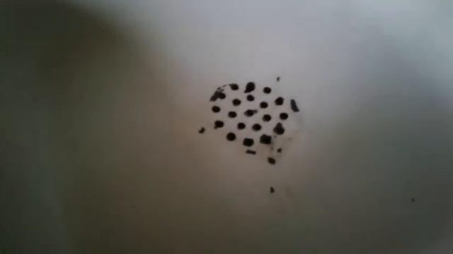 Видеоурок. Замазка сколов на кухонной мойке эмалью. смотреть онлайн