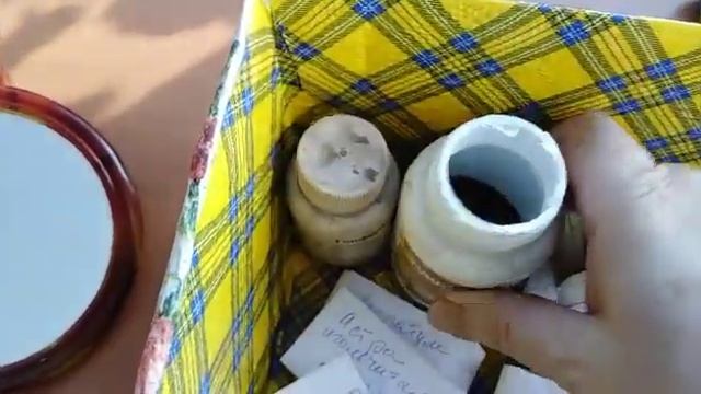 Мои посадки на 21 февраля. Посеяла вербену. смотреть онлайн