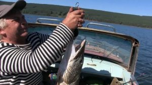 Щука монстр на Братском водохранилище. Иркутск