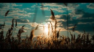 СТАНЬ УВЕРЕННЫМ ЗА 10 МИНУТ! / АФФИРМАЦИИ НА УВЕРЕННОСТЬ В СЕБЕ ДЛЯ МУЖЧИН / АФФИРМАЦИИ ДЛЯ МУЖЧИН