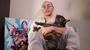 Французский бульдог или МОПС. Какую породу собак выбрать