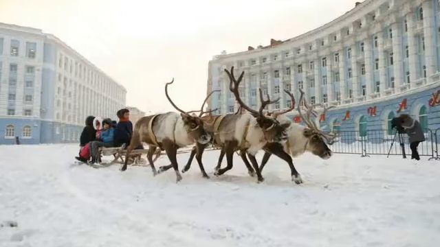 Норильск. День города. Екатерина Верхотурова смотреть онлайн