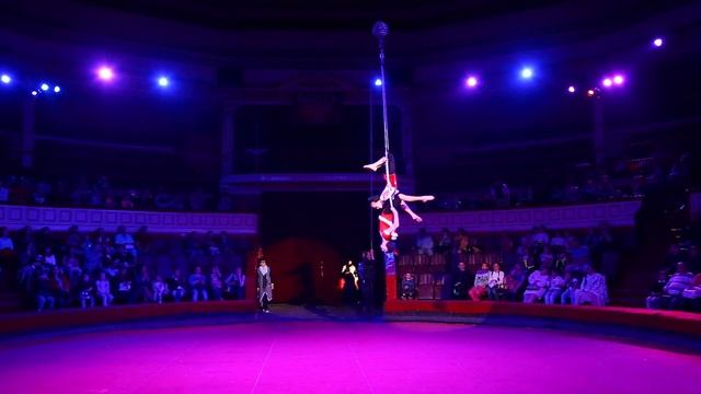 Mickey Mania. Aerial hoop. Мария Грибенко. смотреть онлайн