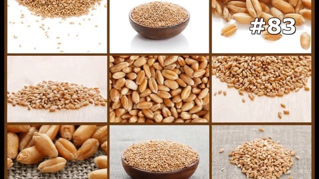 #83. Хлеб и пшеница (Еда и напитки) смотреть онлайн