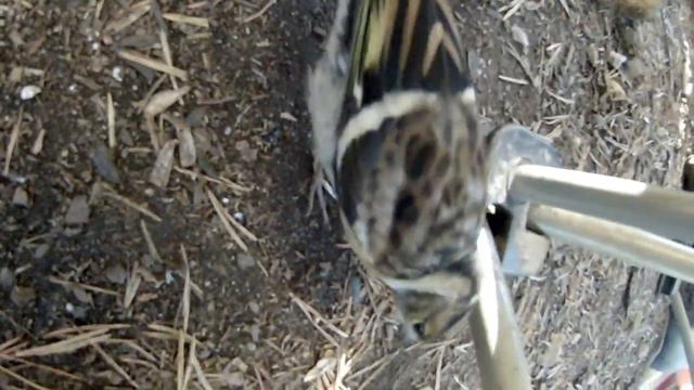 Кольский рыбалка