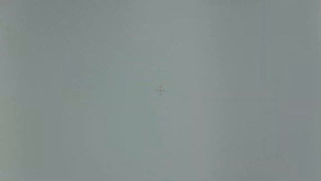 Crow Hunting 2021 24 сентября. Кроухантинг. Отстрел серых ворон