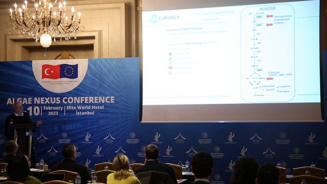 Prof. Dr. Olaf Kruse - Algae Nexus Conference, February 2023, İSTANBUL смотреть онлайн