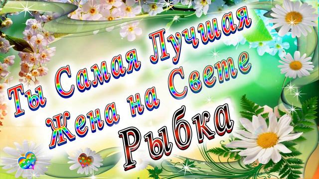 Ты Самая Лучшая Жена Рыбка смотреть онлайн