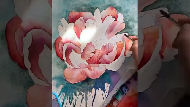 "Peony" painted with ROSA Gallery Watercolours смотреть онлайн