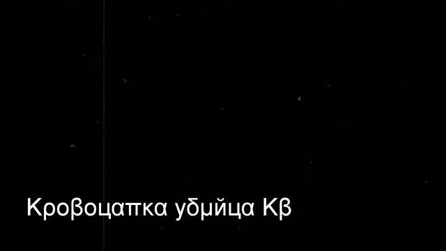 Коты воители ~Воробей~ улети смотреть онлайн