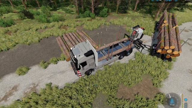 FS22?Logging?Pine forest ?Part 5: Loading and transportation of logs?VOLVO FH16 750 TIMBER TRUCK? смотреть онлайн