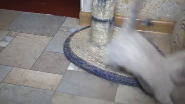 Наши МАЛИШИ 5
