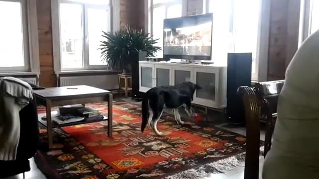 Хурма дома смотреть онлайн