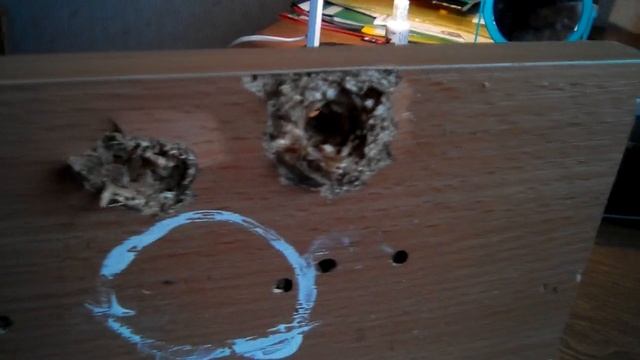 Выбор пуль для охоты из Хатсана 125 смотреть онлайн