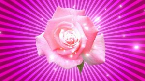 Футаж. Цветочный фон 173